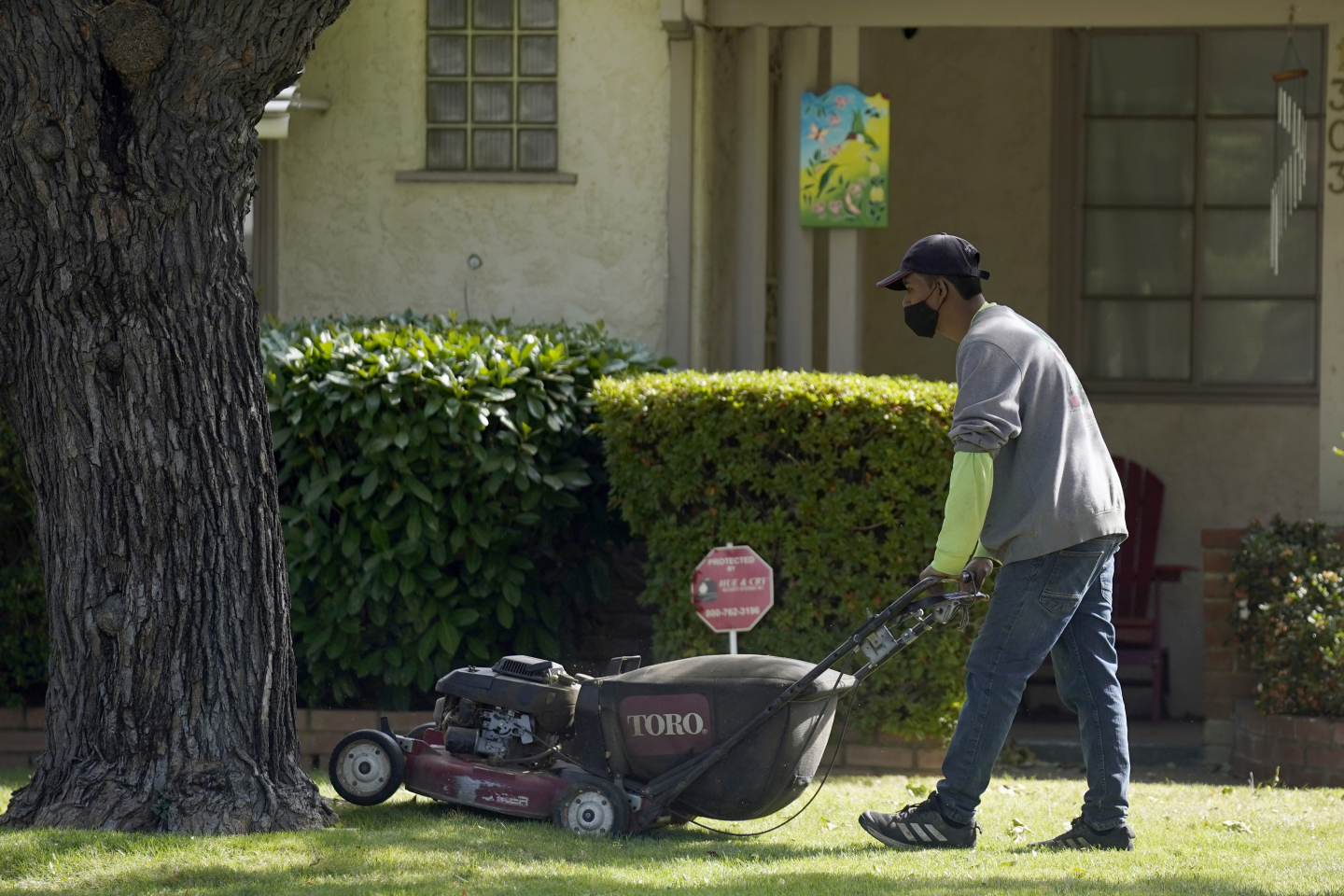 California Landscapers Brace for GasPowered Lawn Equipment Ban