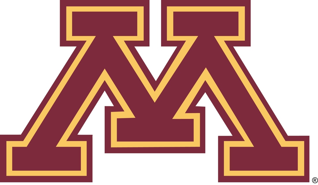 Big Ten Hoops Preview and Where Does Minnesota Fit in The B1G Picture