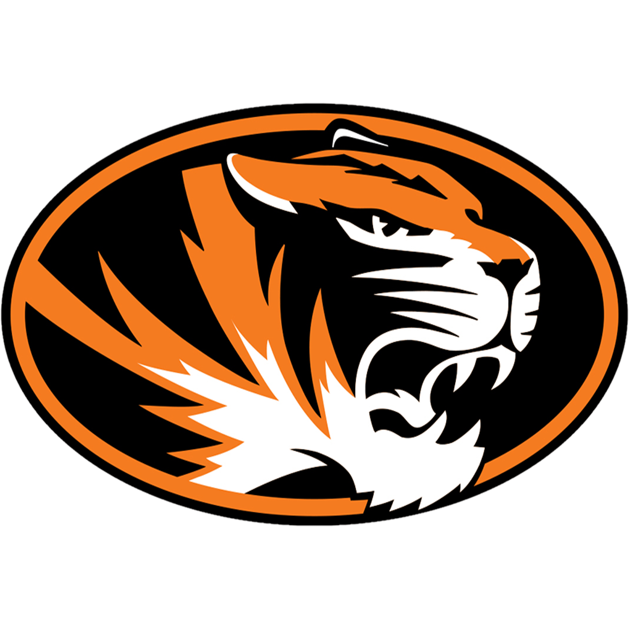 Springfield Tigers Boys Basketball Springfield, MN