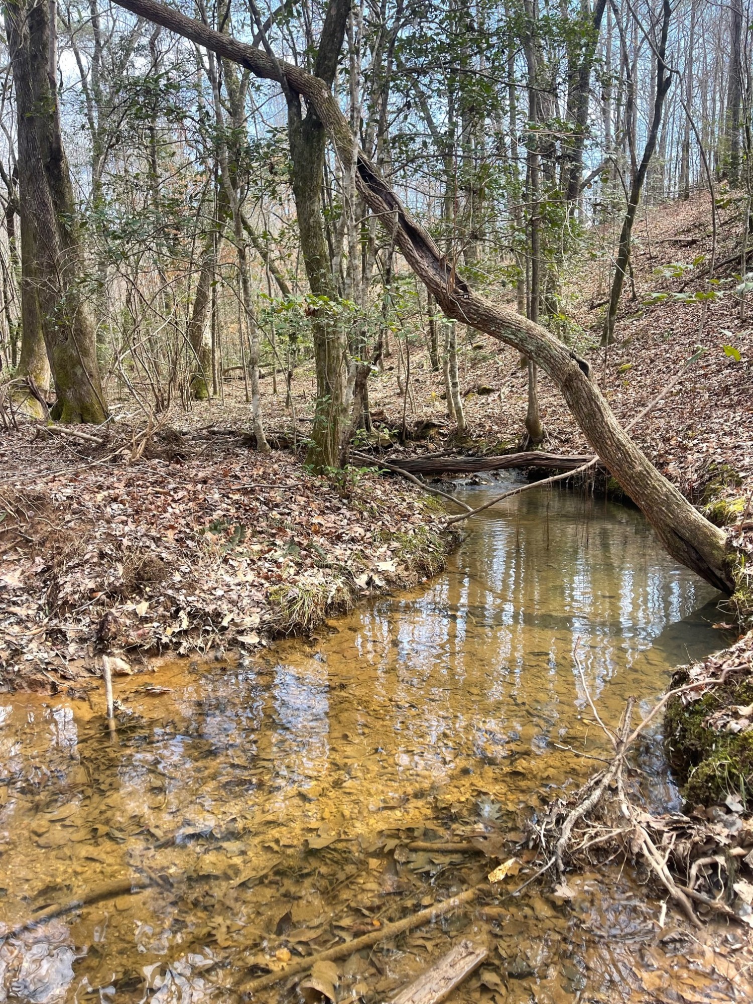 6 +/ Acres Tallapoosa County, AL Southeastern Land Group