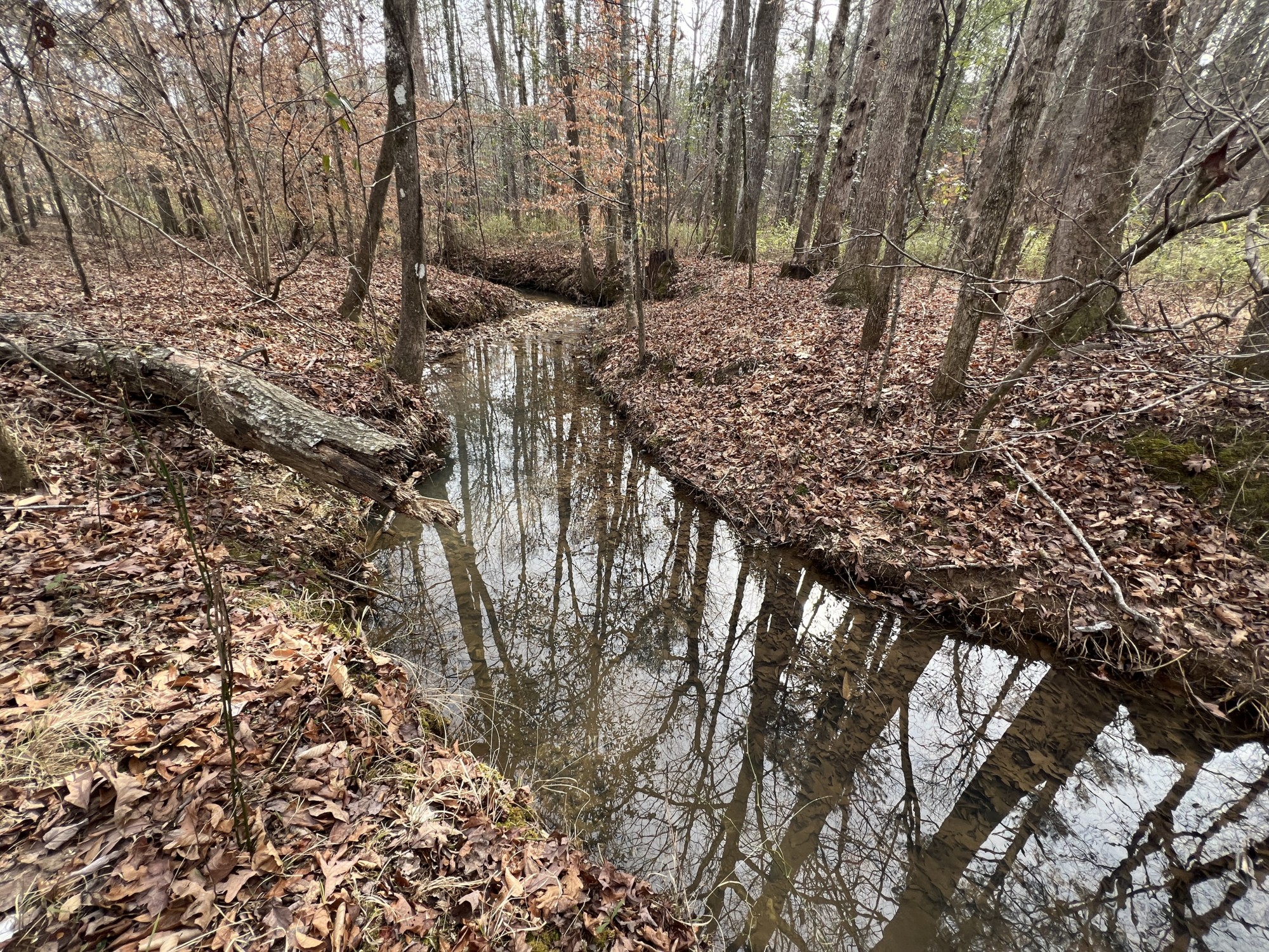 3.42 +/ Ac, Goodwater, AL Southeastern Land Group