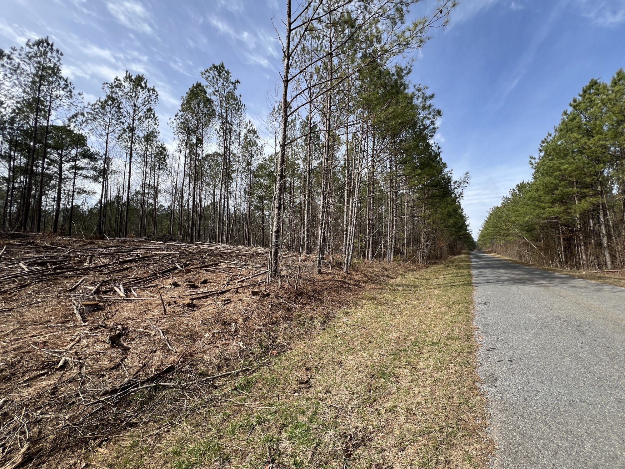 3 +/ Ac, Rockford, Coosa Co, AL Southeastern Land Group