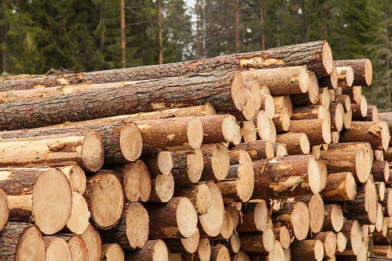 SIC Code 241 Logging