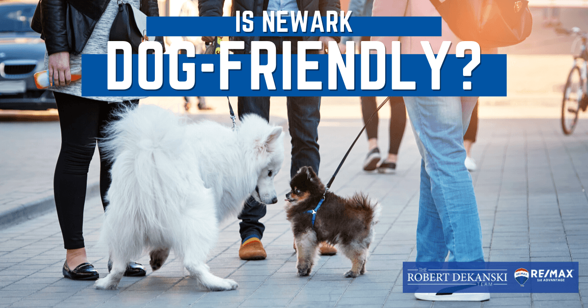 DogFriendly Parks, Restaurants & Hotels Near You in Newark