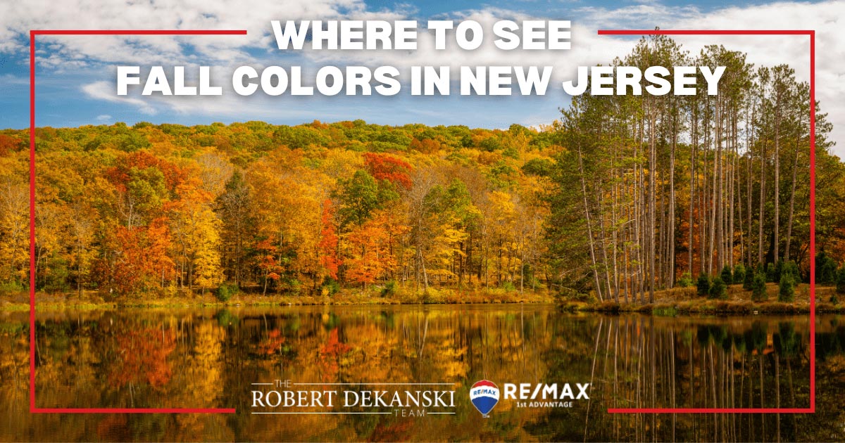 New Jersey Fall Foliage: 11 Best Places to See Fall Colors in NJ