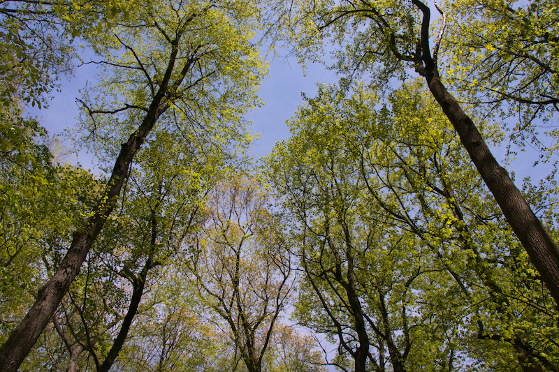 10 Best Parks in Union County Playgrounds, Parks & Trails