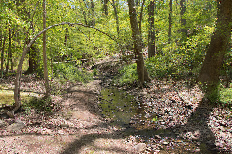 Moving to Plainfield NJ Is Plainfield a Good Place to Live?