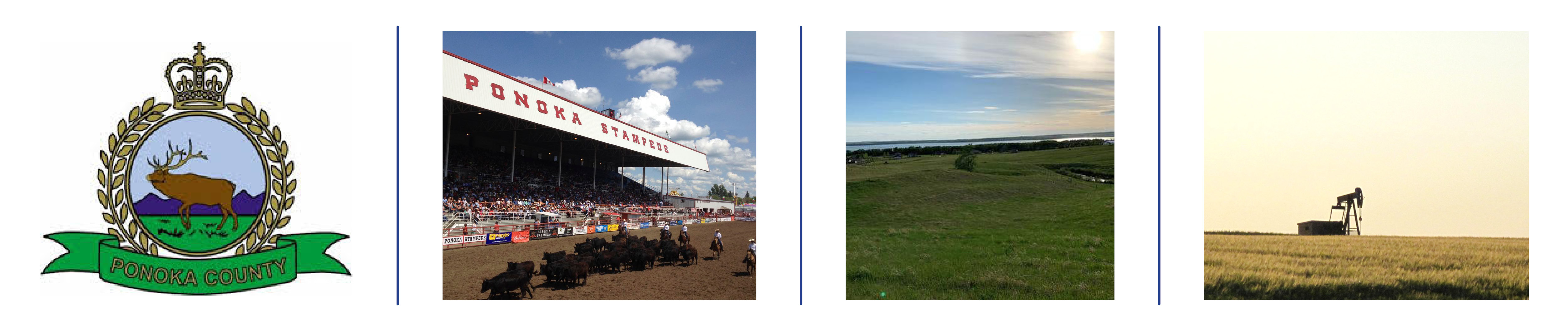 Ponoka County Real Estate Homes for Sale in Ponoka County