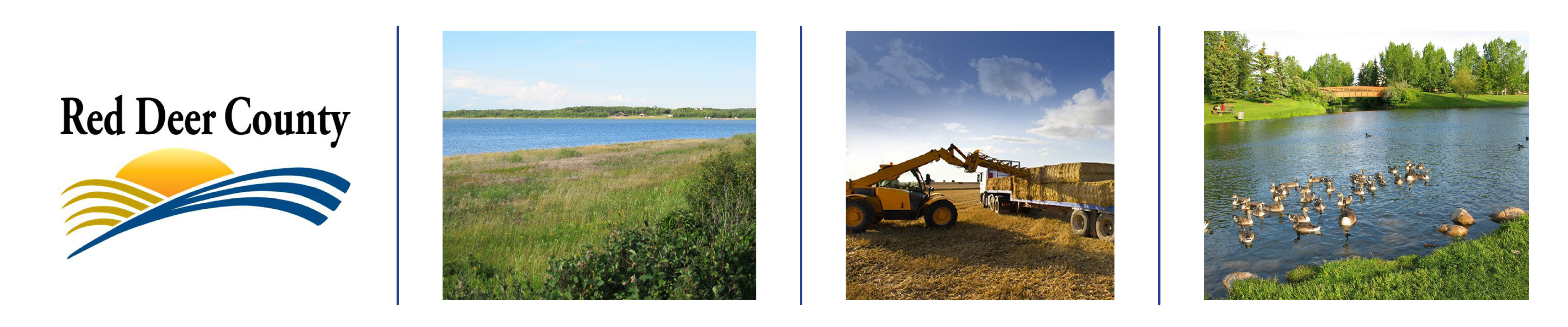 Red Deer County Real Estate Homes for Sale in Red Deer County