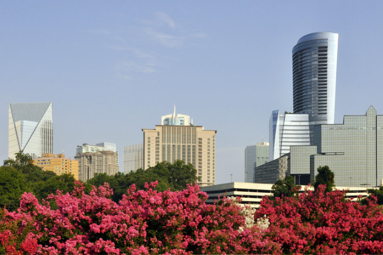 Living in Buckhead, Atlanta, GA 2021 Neighborhood Guide