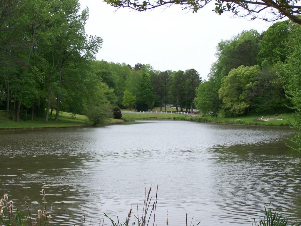 Princeton Lakes Homes for Sale in Marietta, GA (East Cobb)