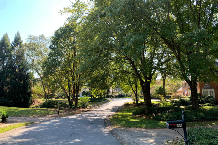 Living in East Cobb 2021 Community Guide