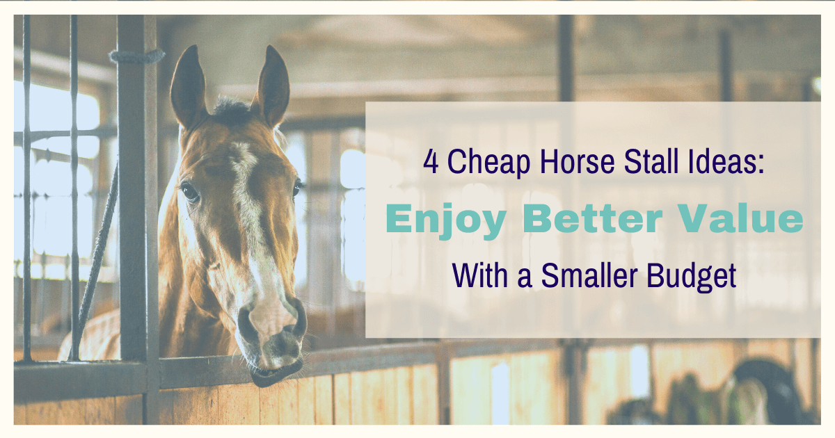 4 Cheap Horse Stall Ideas Bigger Value With a Smaller Budget