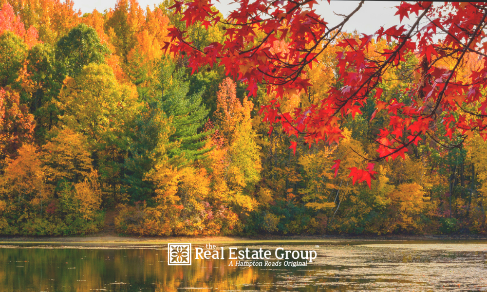 Virginia Fall Foliage 2023 The Virginia Autumn Foliage Forecast