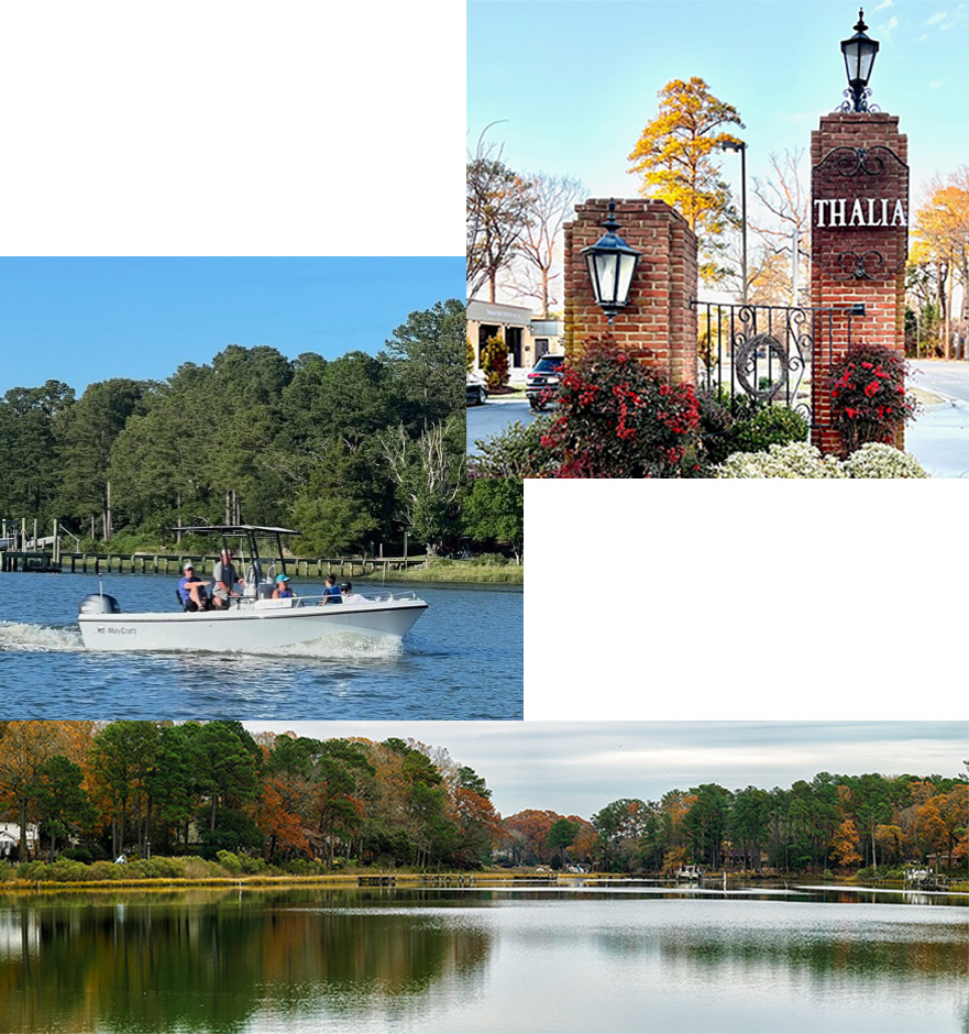 Sara Andrews Hartz REALTOR The Real Estate Group Hampton Roads VA