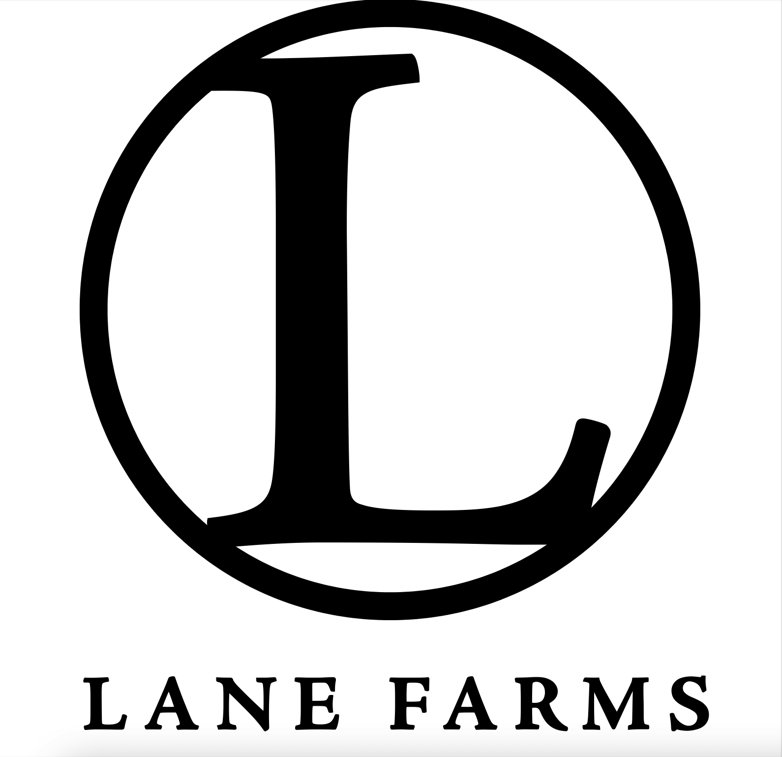 Lane Farms Holly Springs Real Estate Homes for Sale in Holly Springs