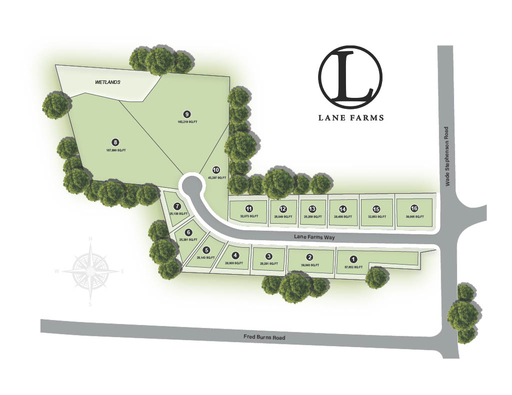 Lane Farms Holly Springs Real Estate Homes for Sale in Holly Springs