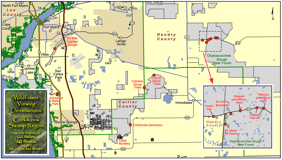 What’s Blooming This Spring in Southwest Florida?