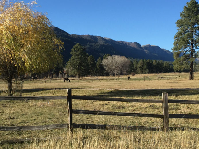Hesperus Equestrian Homes For Sale Hesperus CO Horse Properties