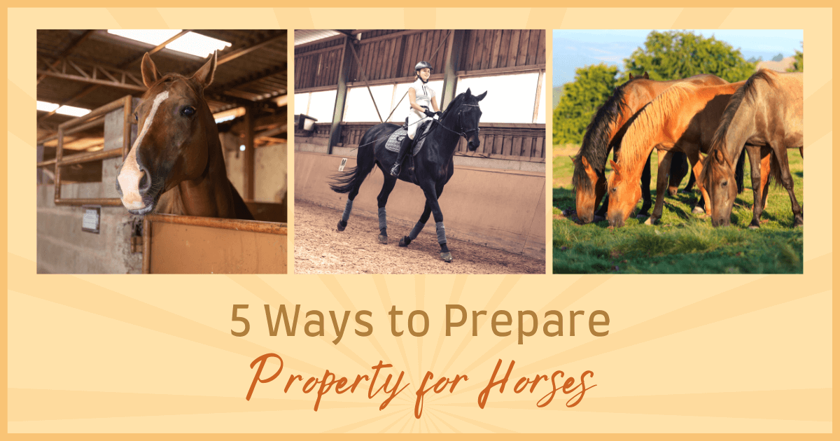 Prepare Your Property For Horses MustHave Home Upgrades