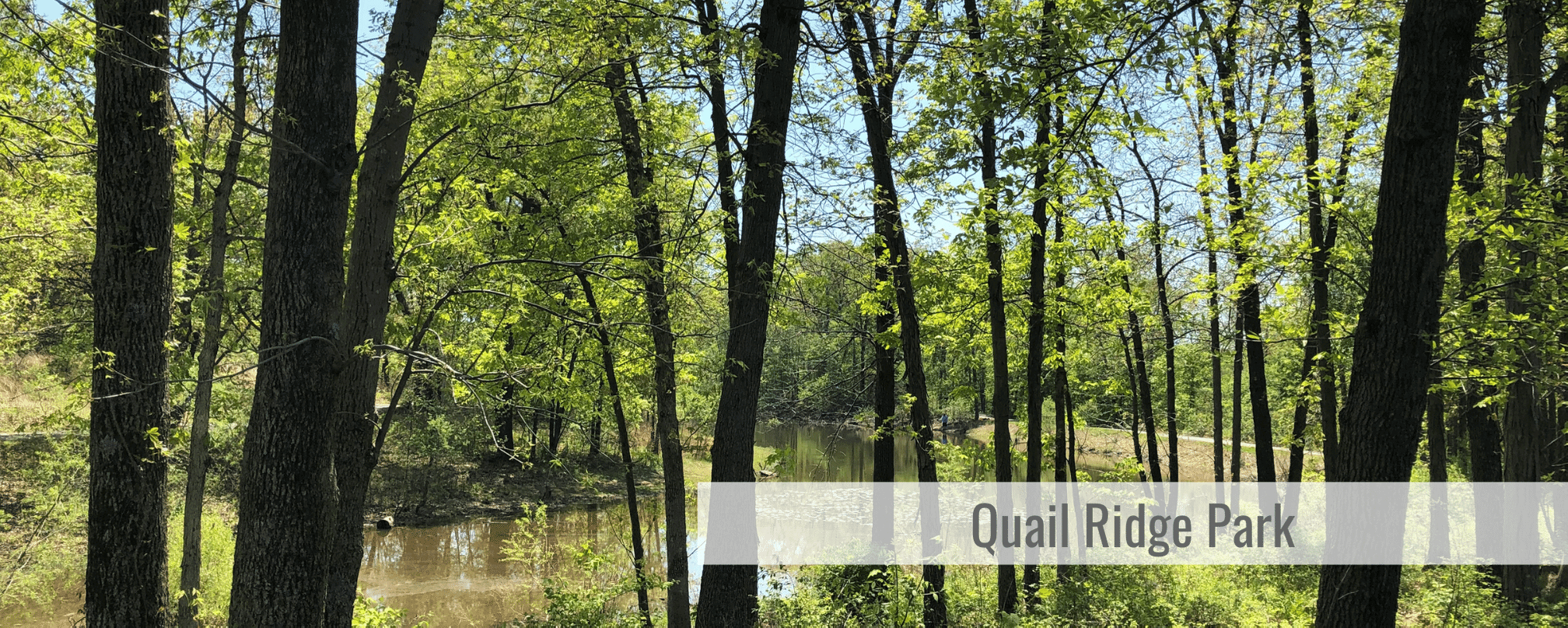 8 Western St. Charles County Parks that Your Teens will Love to Explore