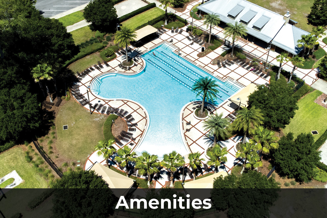 Nocatee Homes For Sale Nocatee FL Real Estate