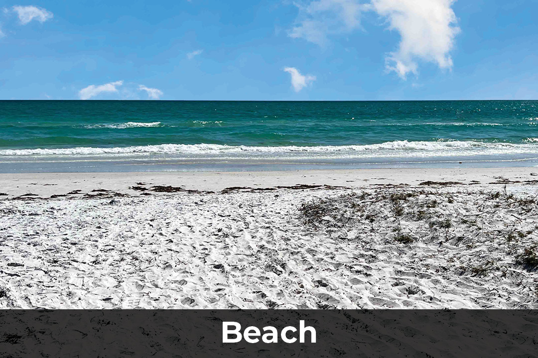 Siesta Key Community & Home Market Marganon Real Estate