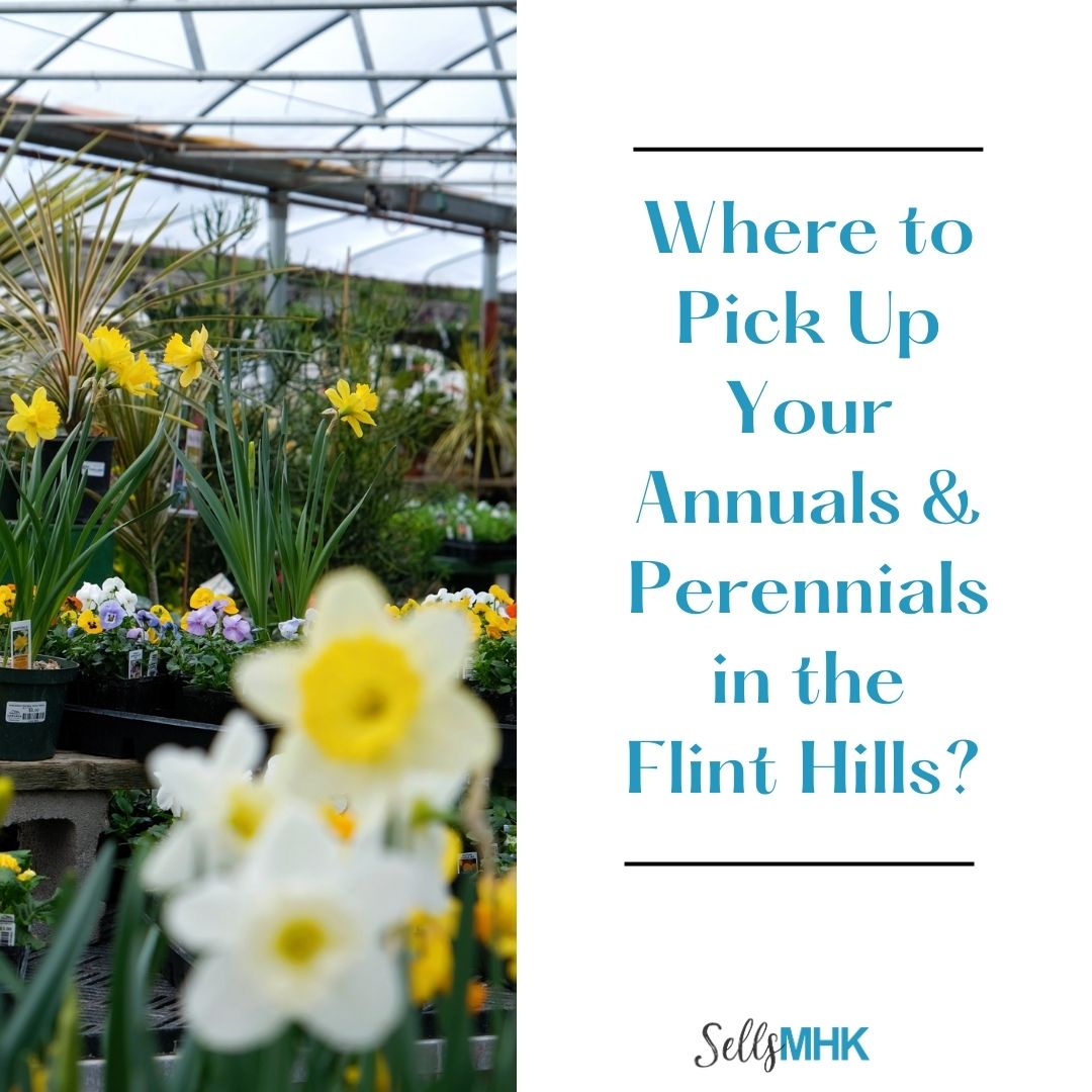 Where to Pick Up Your Annuals & Perennials in the Flint Hills?