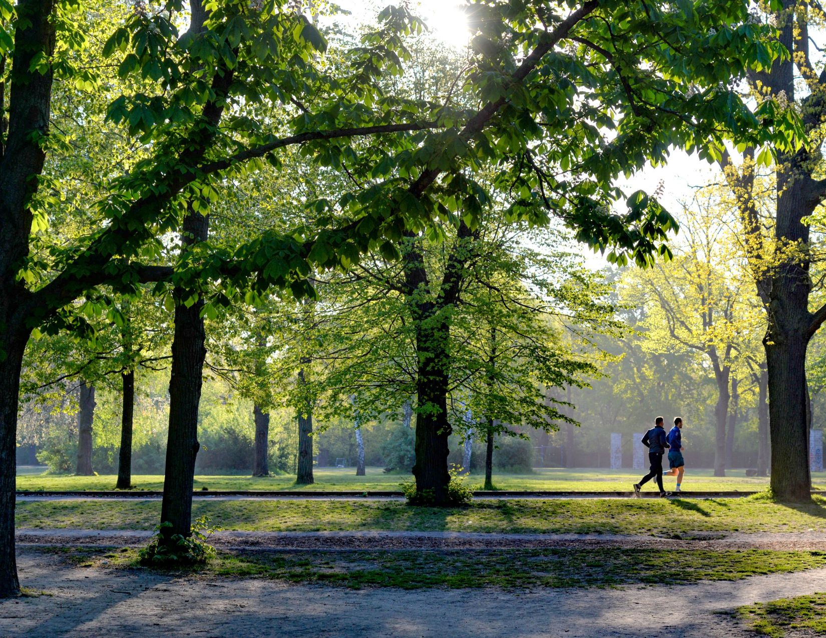 Hidden Gems of Louisville, KY What Locals Love That Buyers Need to Know