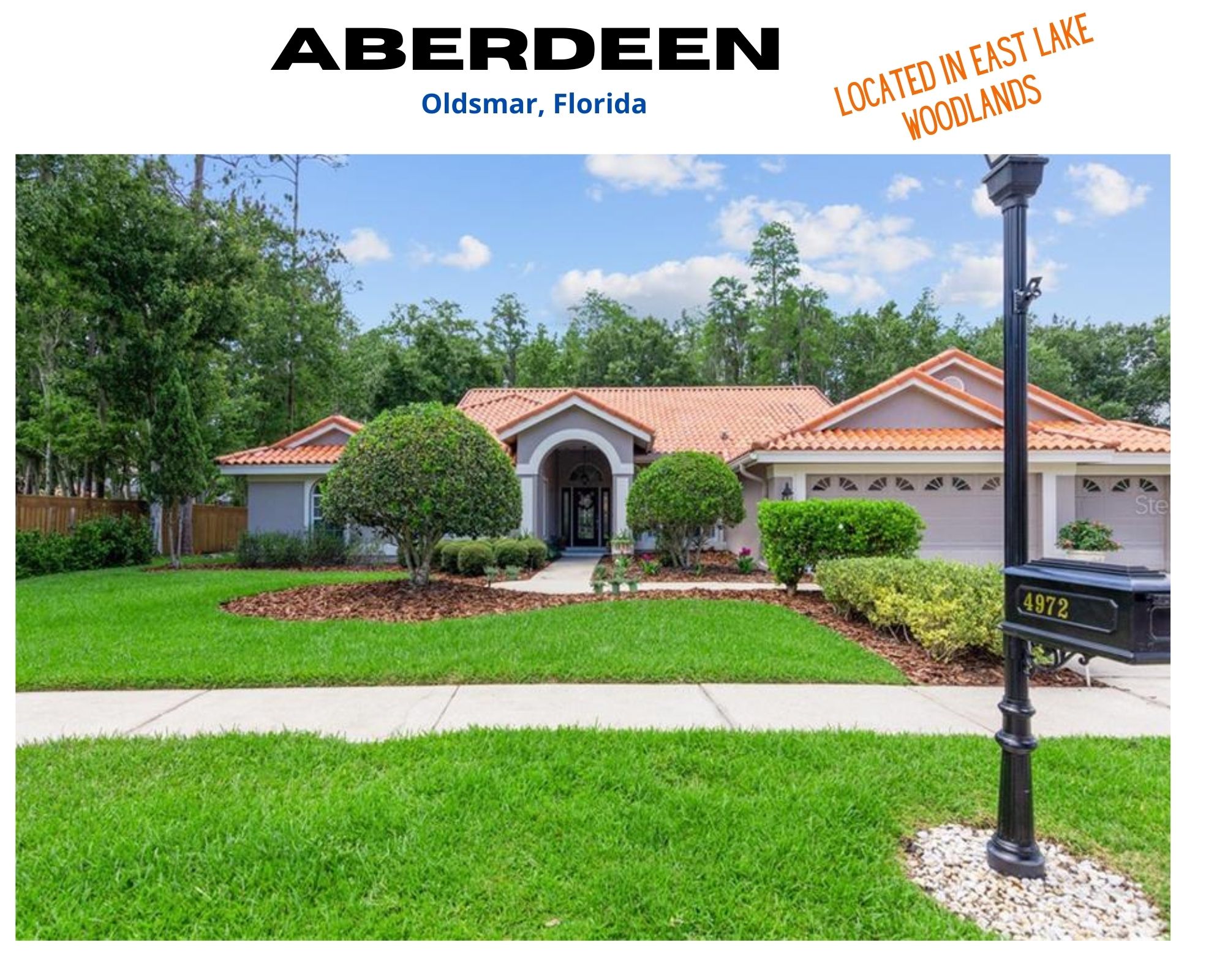 Aberdeen East Lake Woodlands Oldsmar FL Real Estate