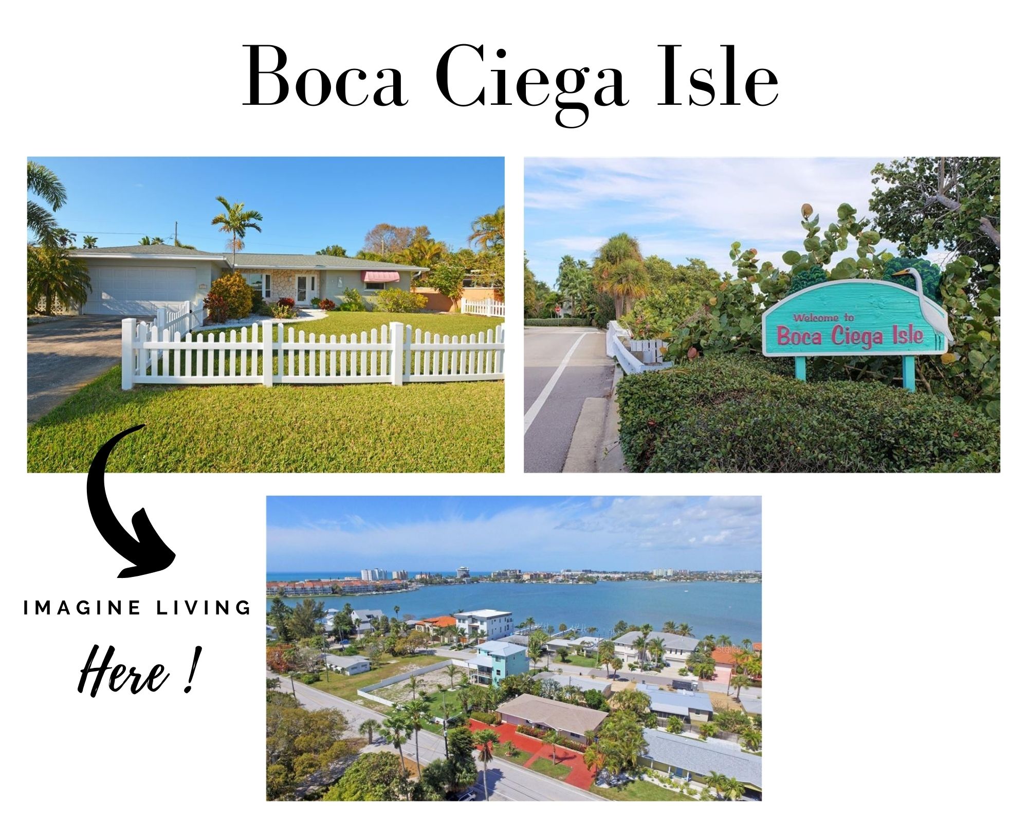 Boca Ciega Isle Real Estate Boca Ciega Isle Homes for Sale on St Pete