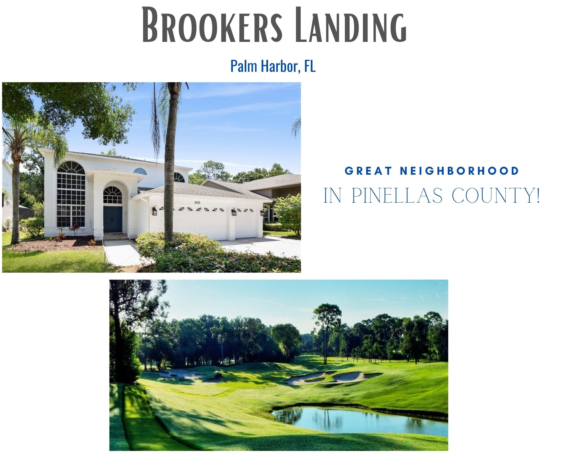 Brookers Landing Palm Harbor Florida Homes for Sale