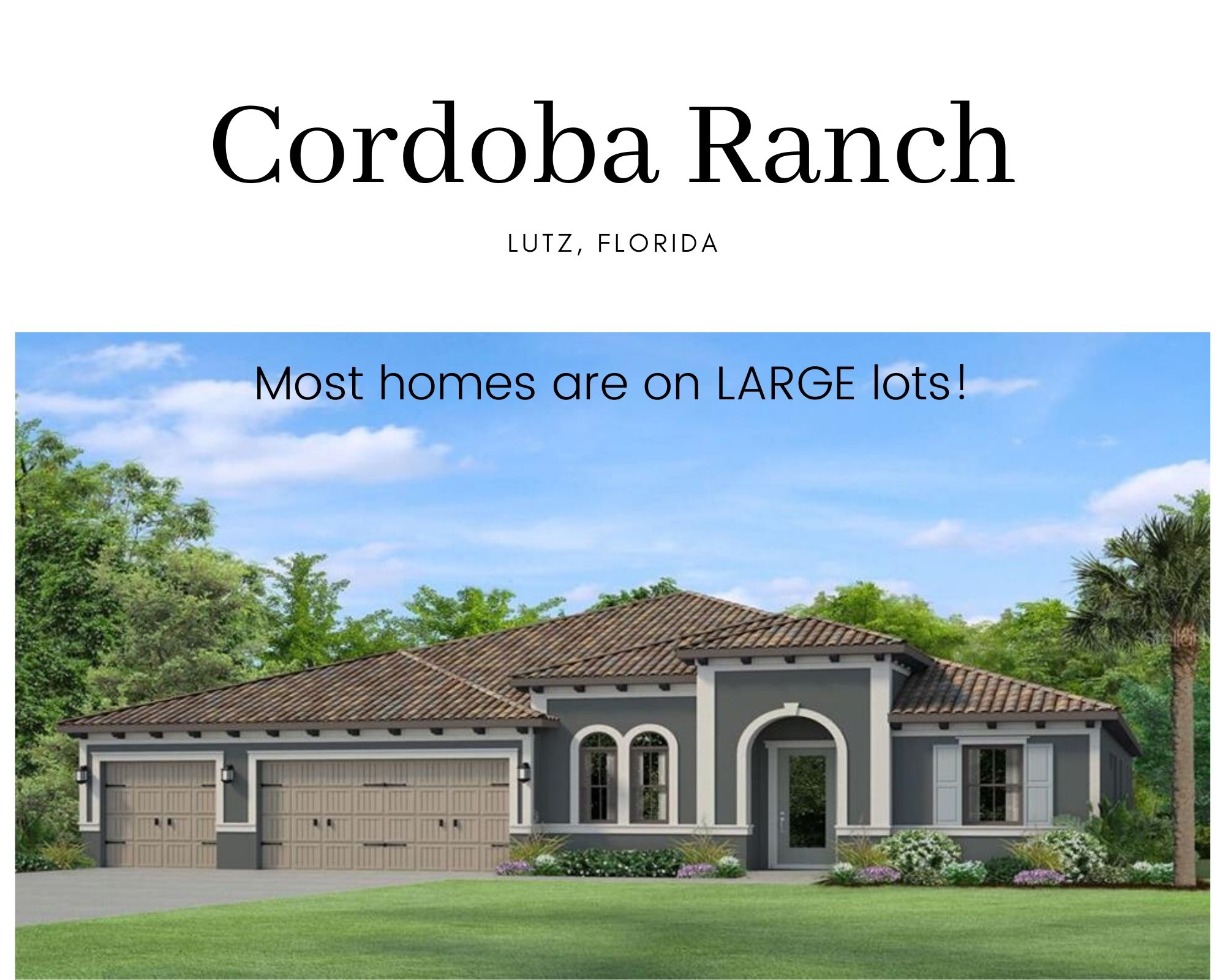 Cordoba Ranch Lutz FL Real Estate Cordoba Ranch Homes for Sale