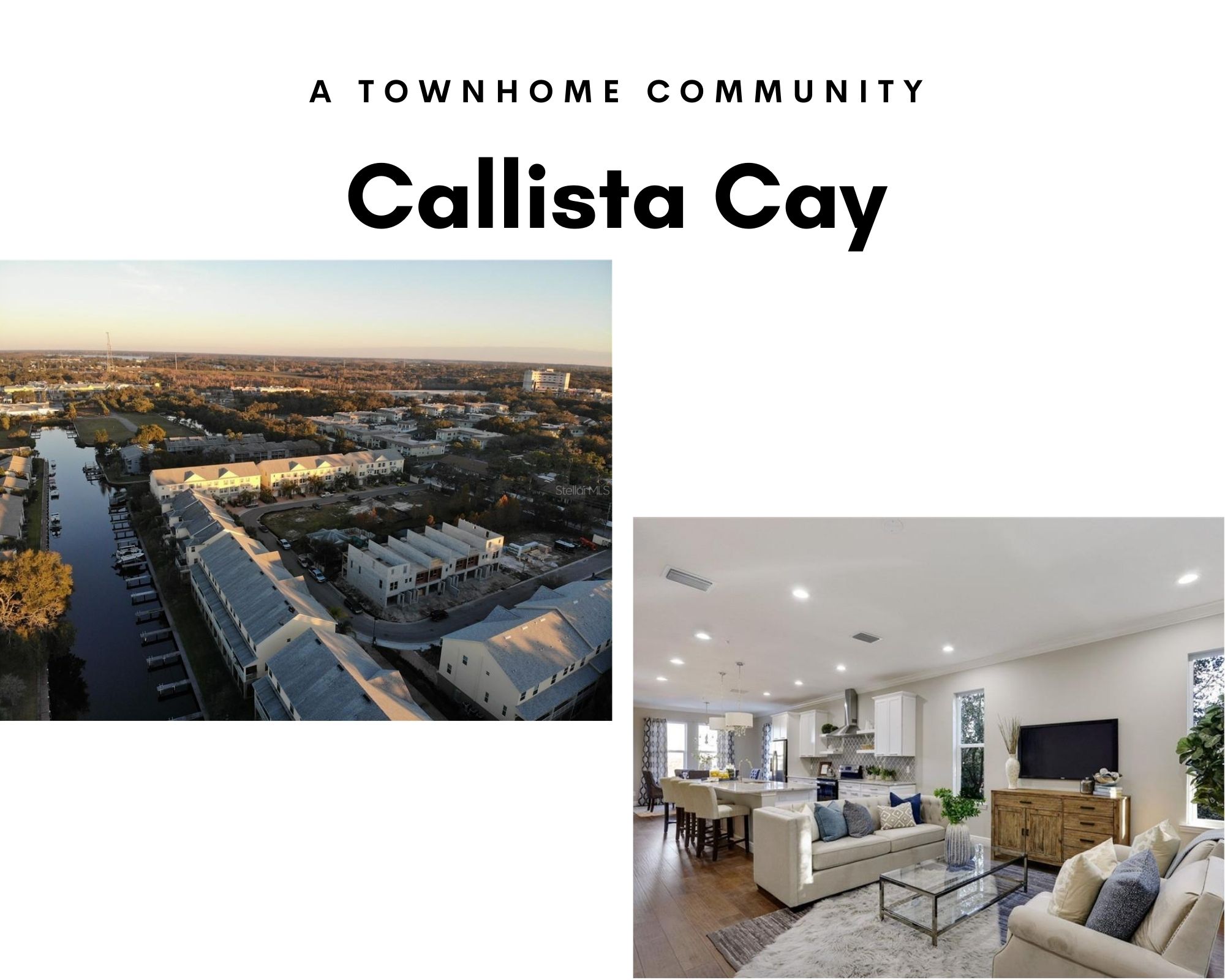 Callista Cay Tarpon Springs FL Real Estate Callista Cay Townhomes