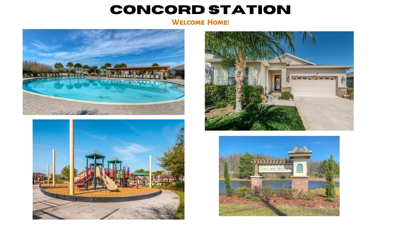 Concord Station Land O Lakes Real Estate Concord Station Homes for Sale