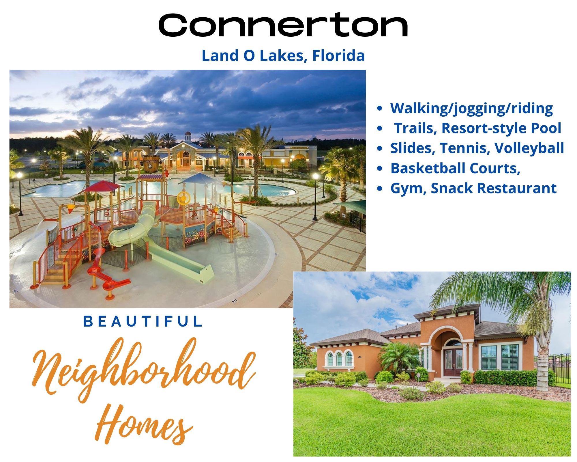 Connerton Land O Lakes Real Estate Connerton Homes for Sale