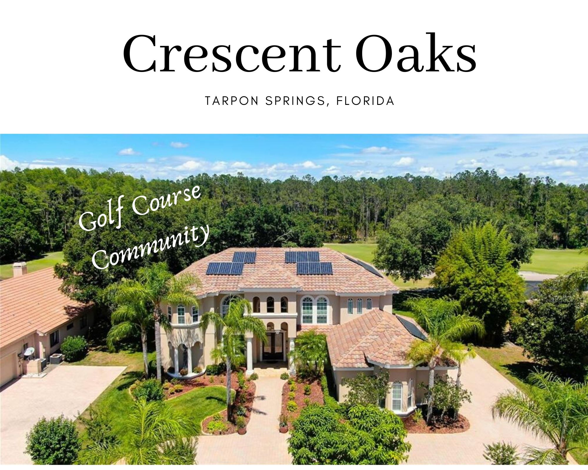Crescent Oaks Tarpon Springs FL Real Estate Crescent Oaks Homes for