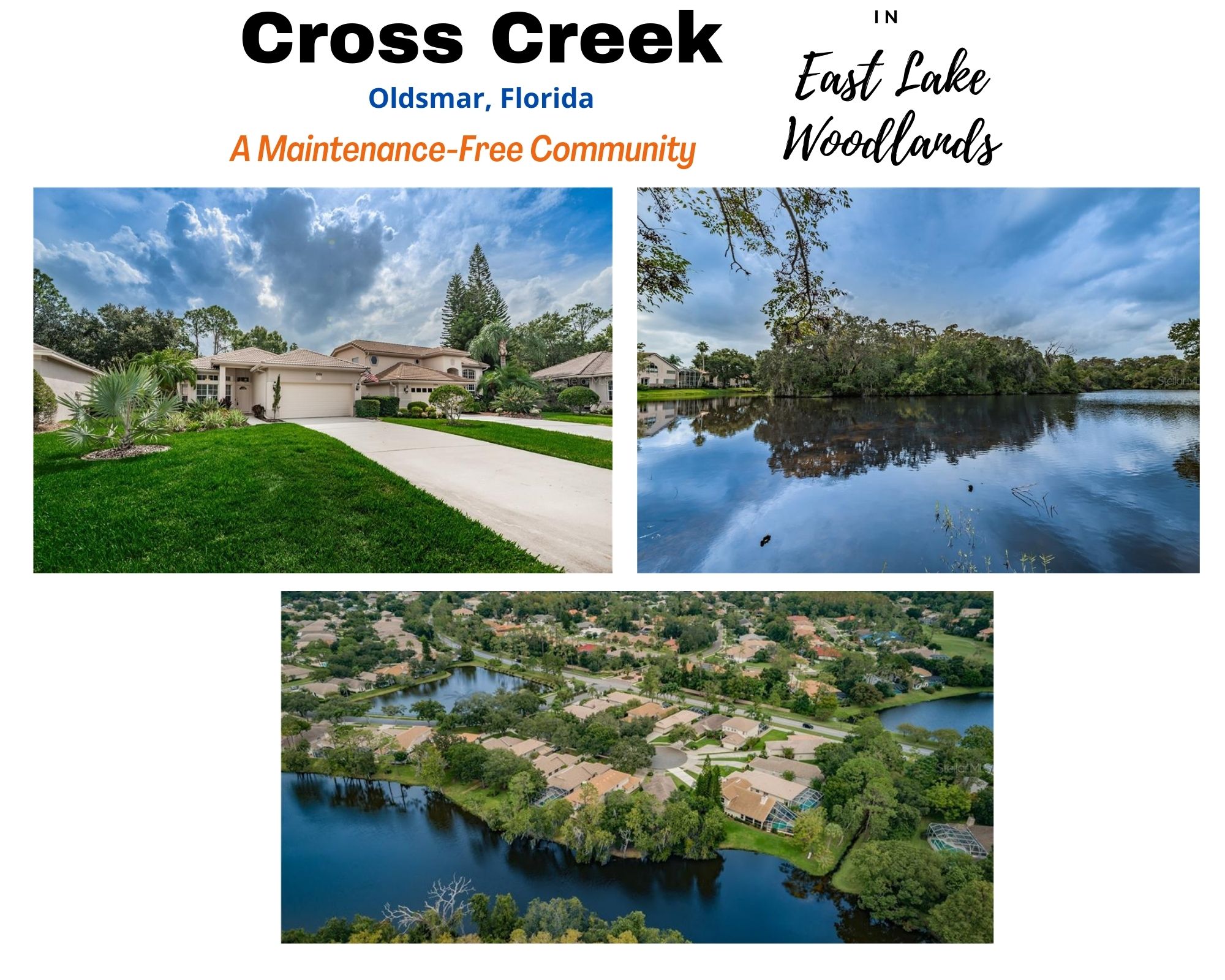 Cross Creek East Lake Woodlands Oldsmar FL Real Estate