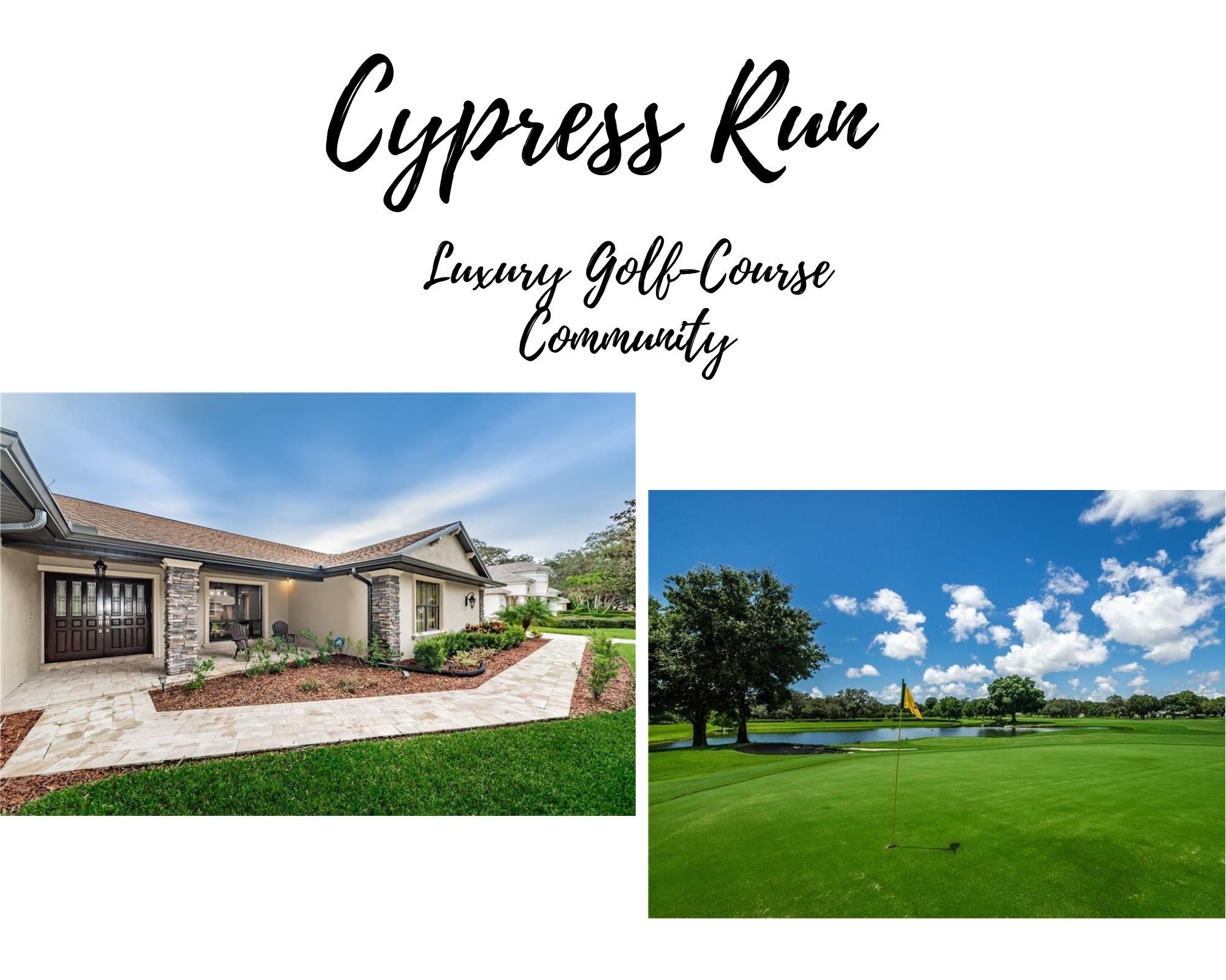 Cypress Run Tarpon Springs Real Estate Cypress Run Homes for Sale