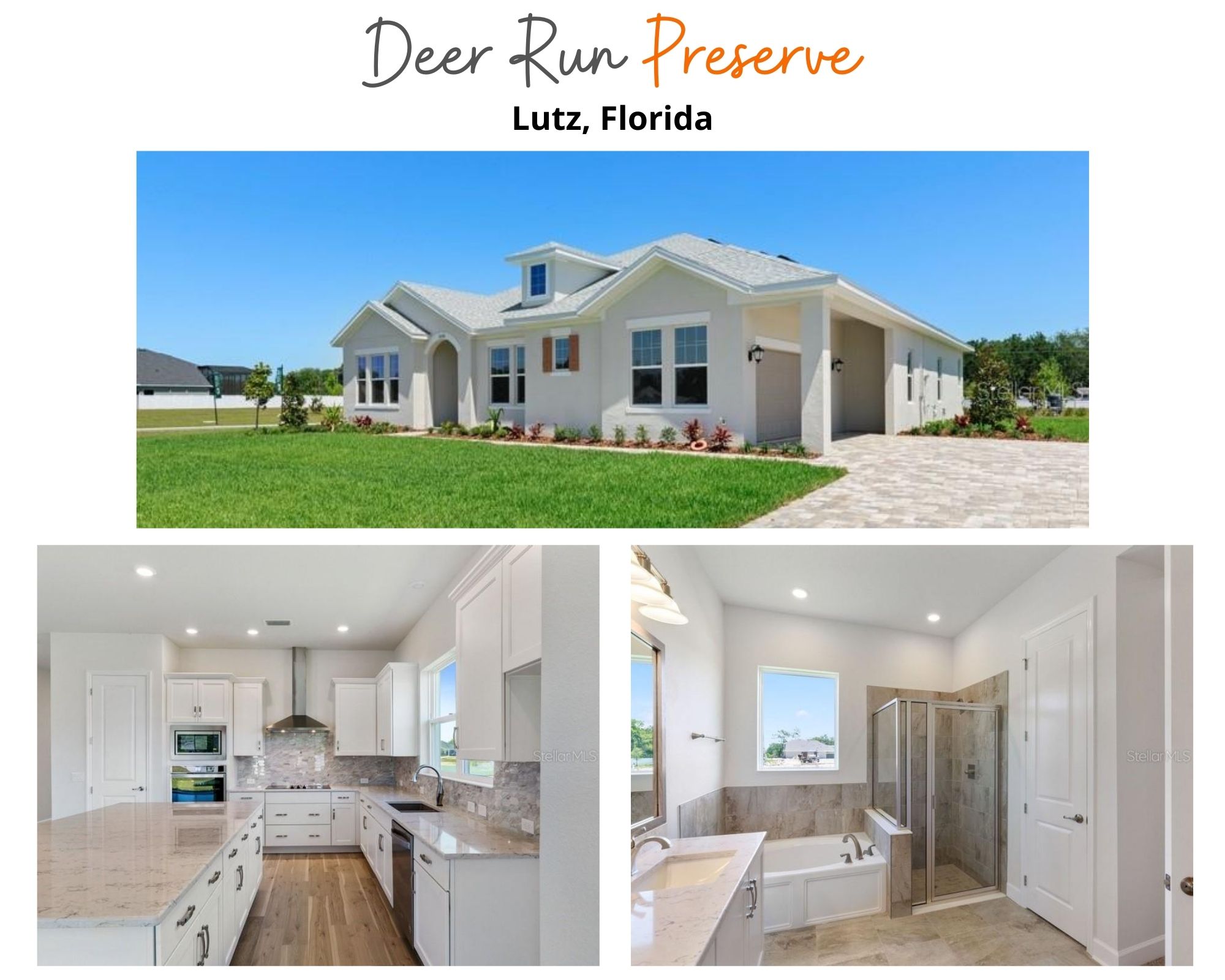 Deer Run Preserve Lutz Florida Homes For Sale