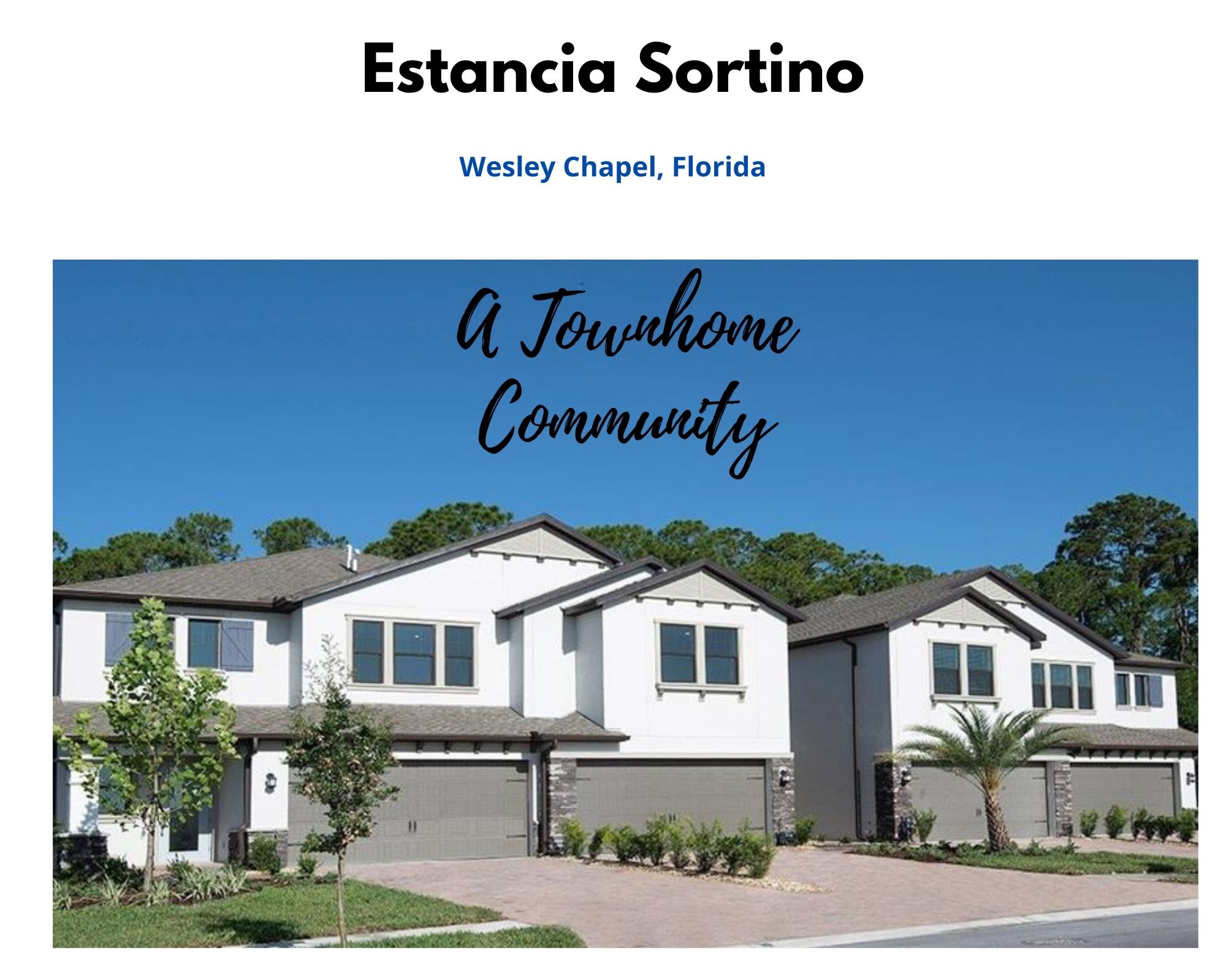 Estancia Sortino Wesley Chapel FL Estancia Sortino Wesley Chapel