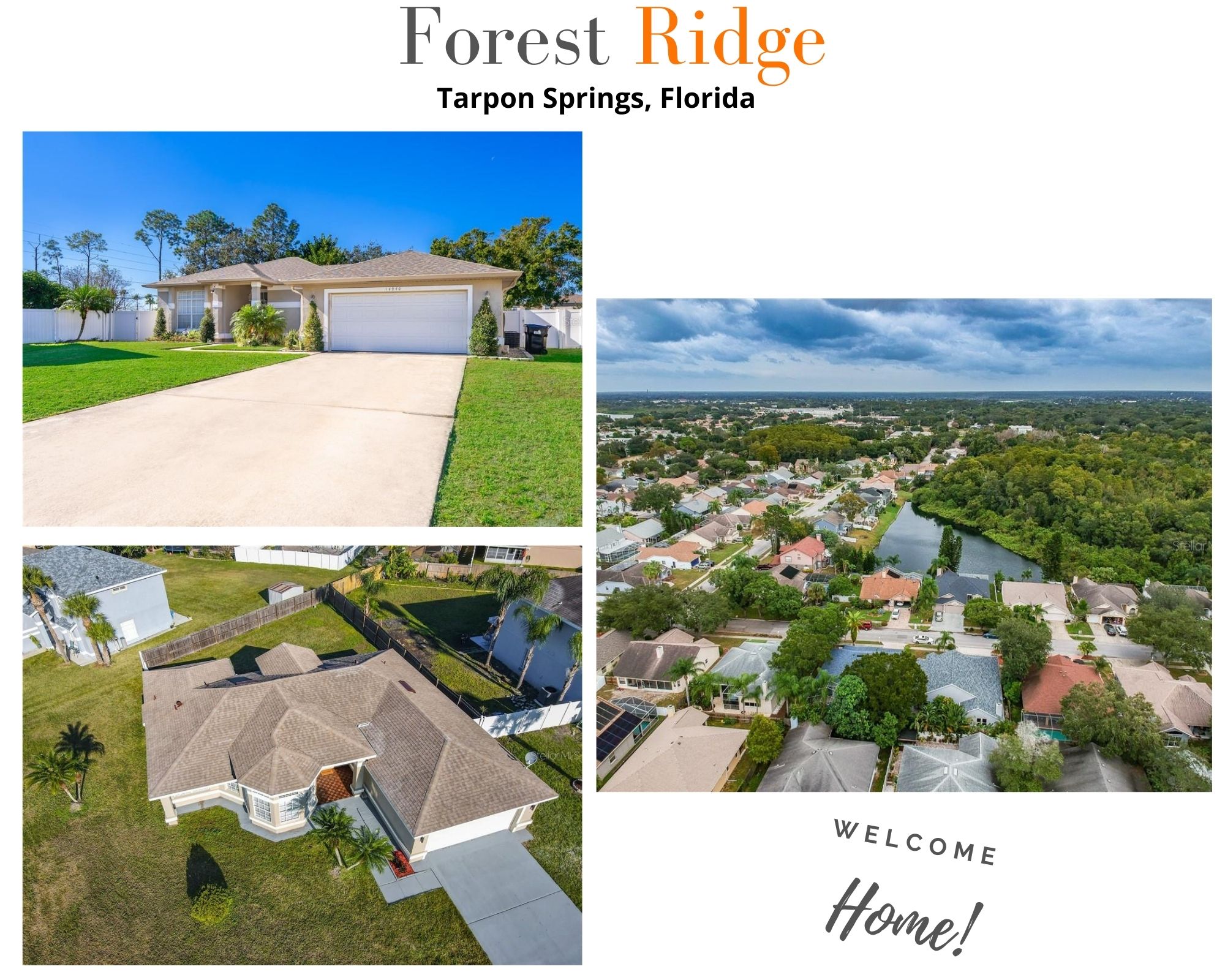 Forest Ridge Tarpon Springs FL Homes For Sale