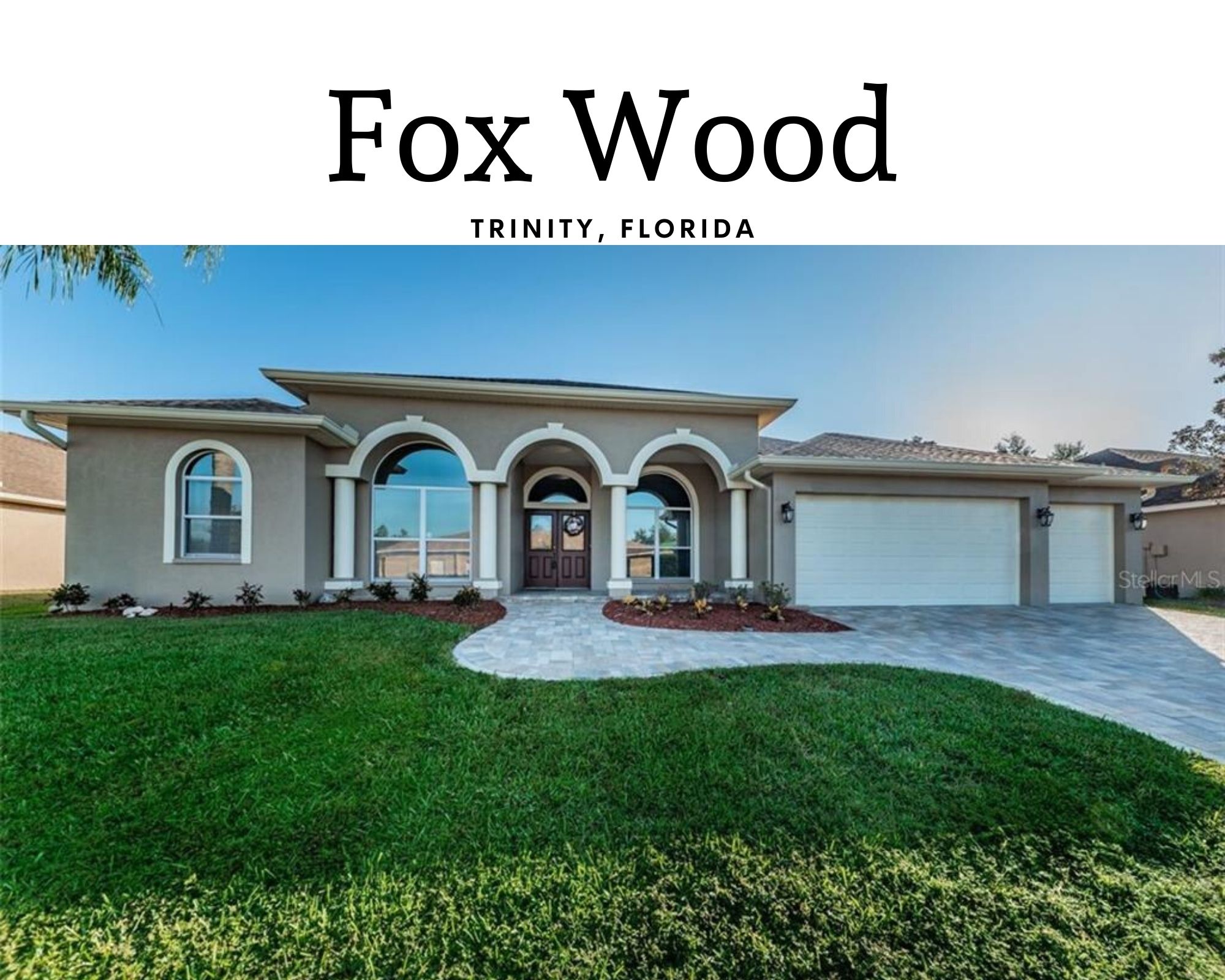 Fox Wood Trinity FL Real Estate Fox Wood Trinity FL Homes for Sale