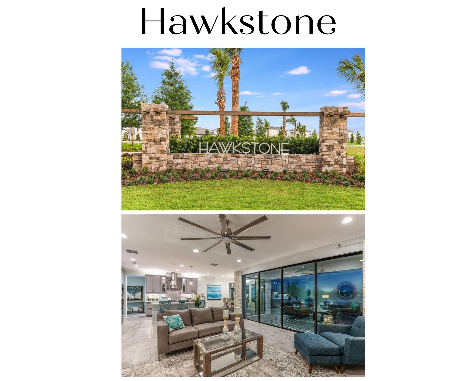 Hawkstone Lithia FL Real Estate Hawkstone Homes for Sale