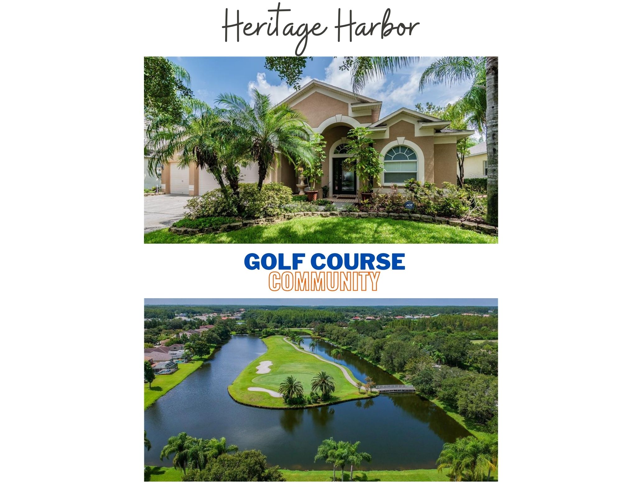 Heritage Harbor Lutz FL Real Estate Heritage Harbor Homes for Sale