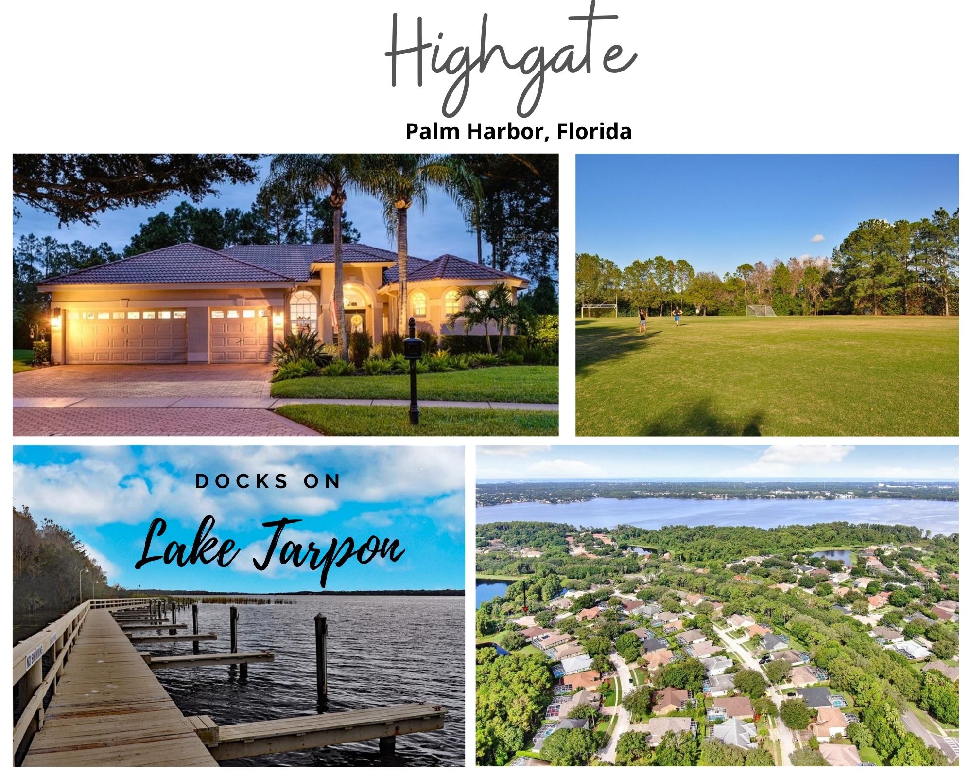 Highgate Palm Harbor Florida Homes For Sale