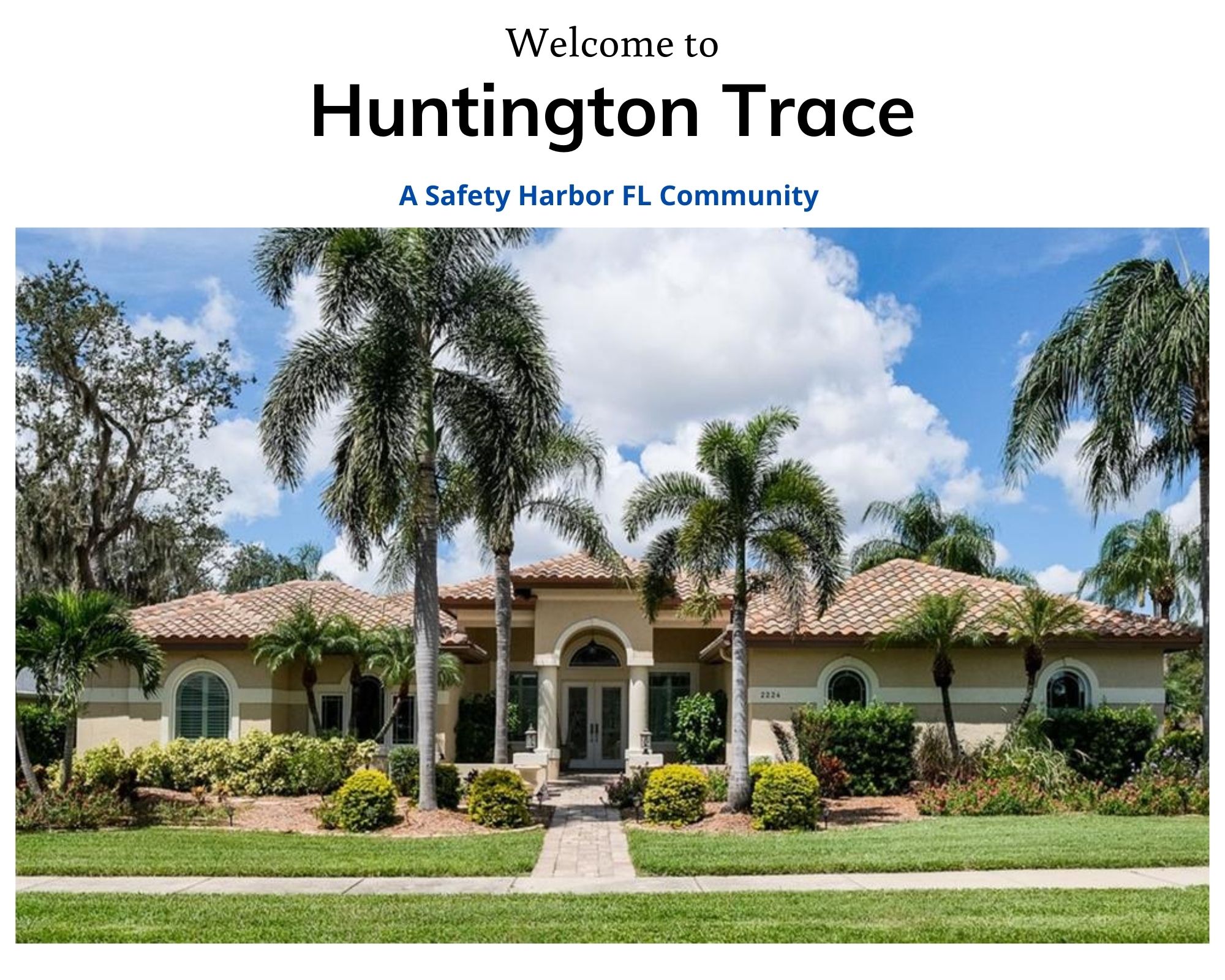 Huntington Trace Homes for Sale Safety Harbor Real Estate