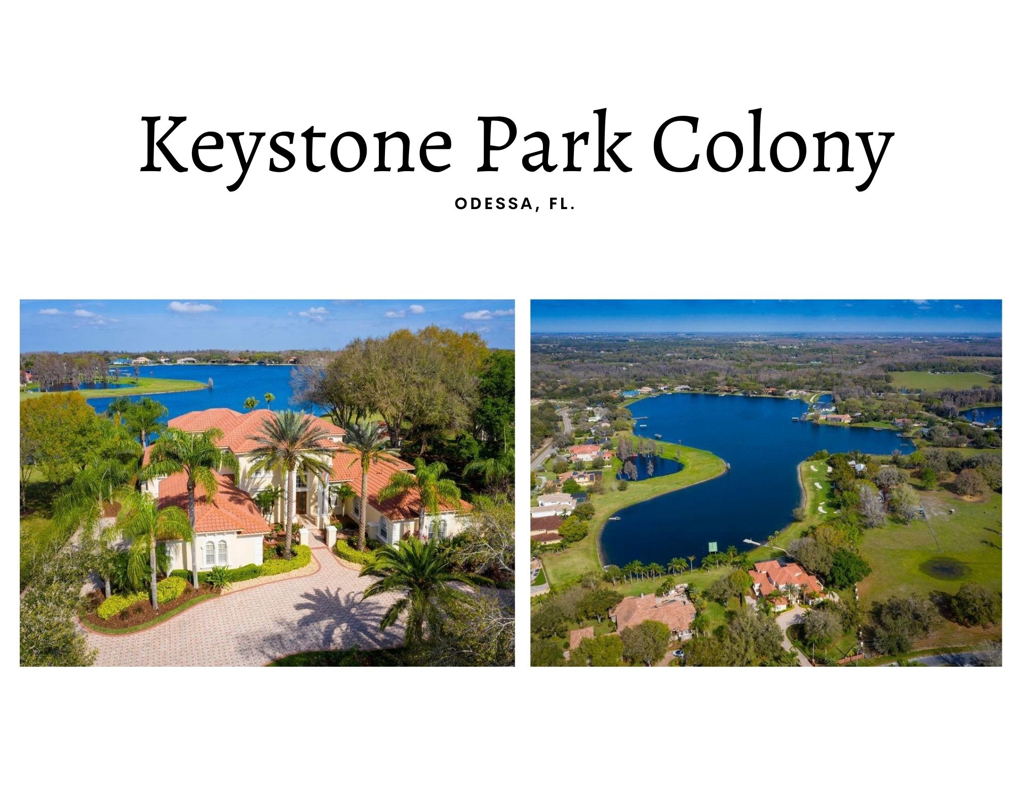 Keystone Park Colony Odessa FL Real Estate Keystone Colony Odessa