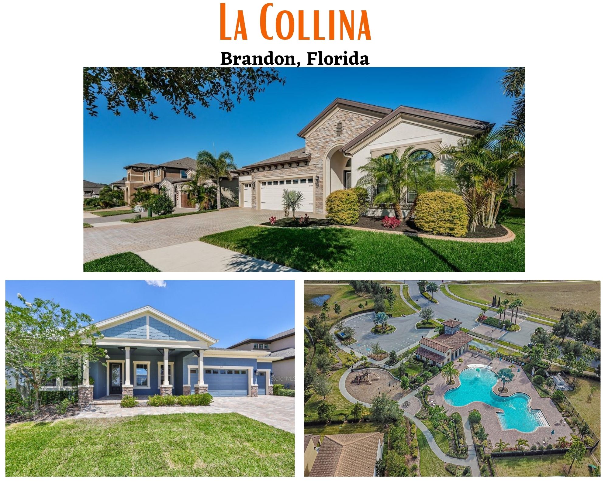 tax collector near me brandon fl Thoroughly Blogged Custom Image Library