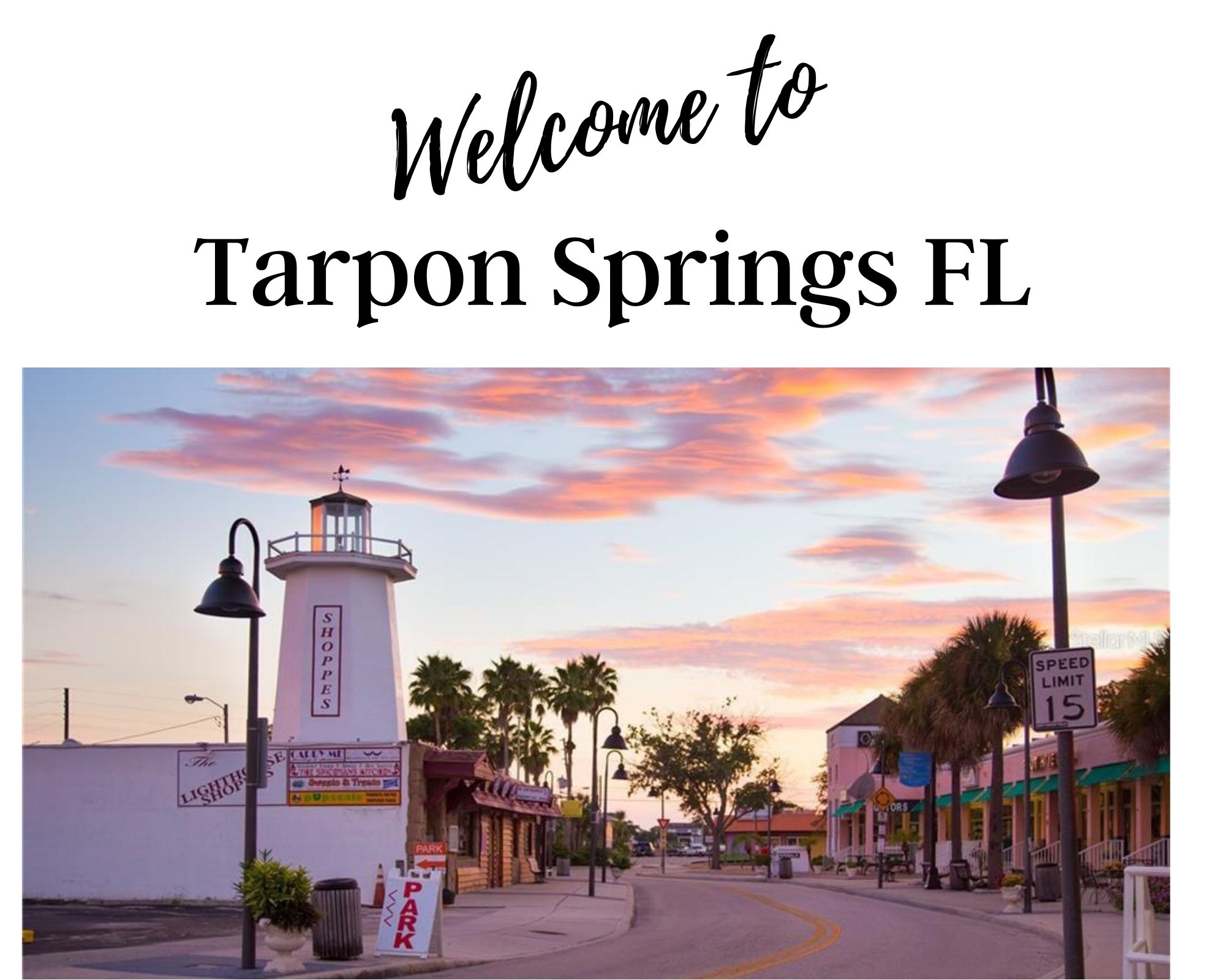 Tarpon Springs FL Real Estate Homes for Sale in Tarpon Springs